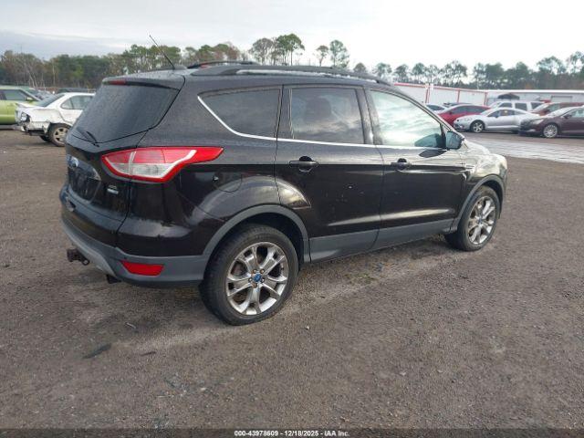 Ford Escape Sel Image 9