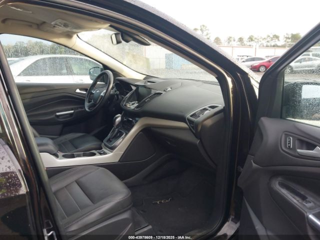 Ford Escape Sel Image 4