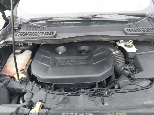 Ford Escape Sel Image 5