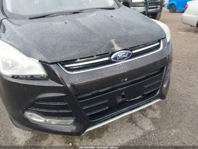 Ford Escape Sel Image 6