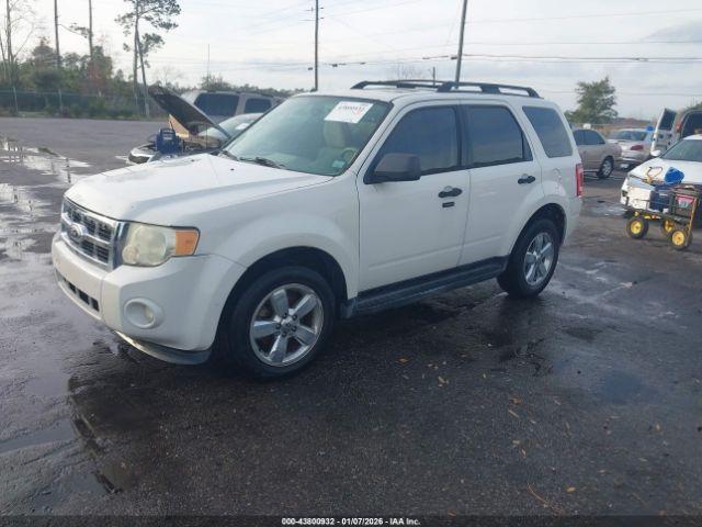 Ford Escape Xlt Image 2