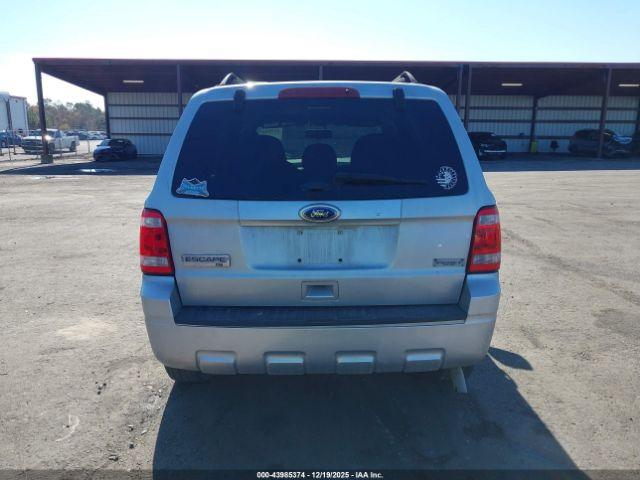 Ford Escape Xlt Image 5