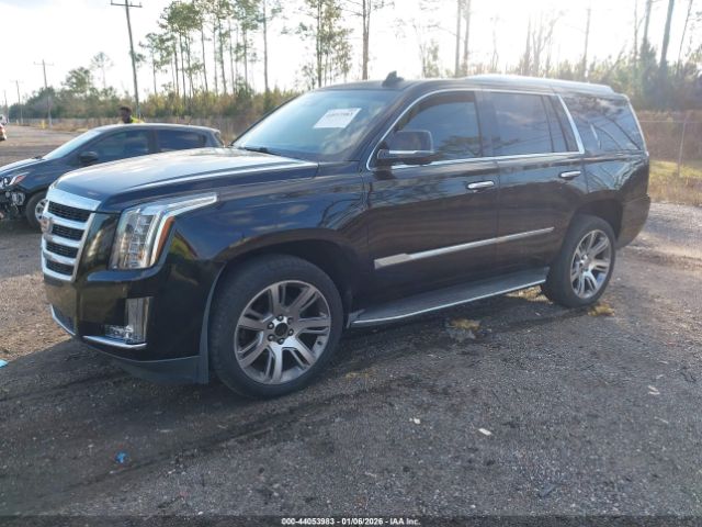 Cadillac Escalade Luxury Collection Image 3