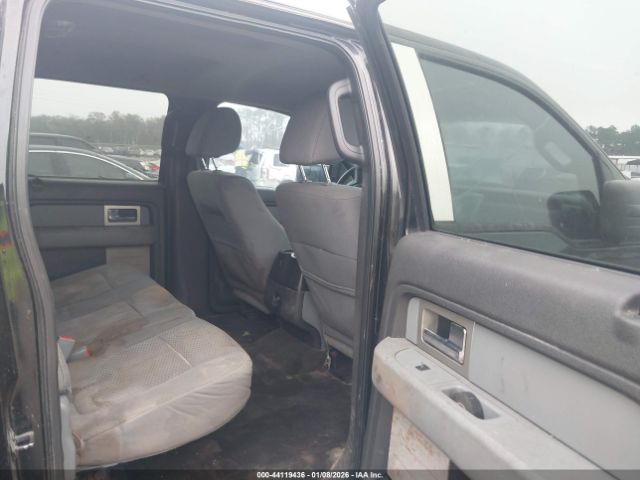 Ford F-150 Xlt Image 8