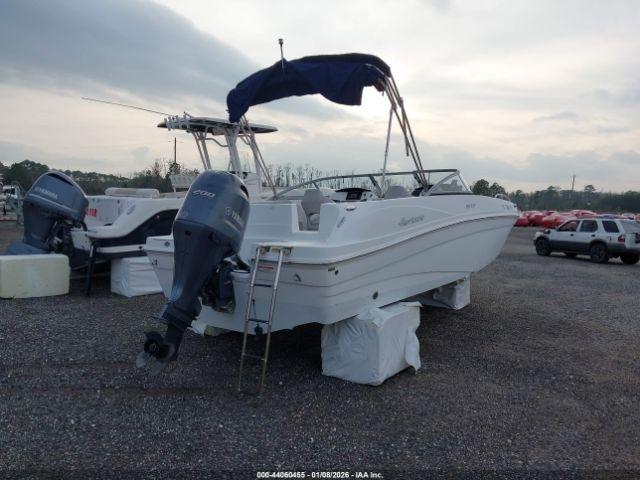 Hurricane Other Image 8